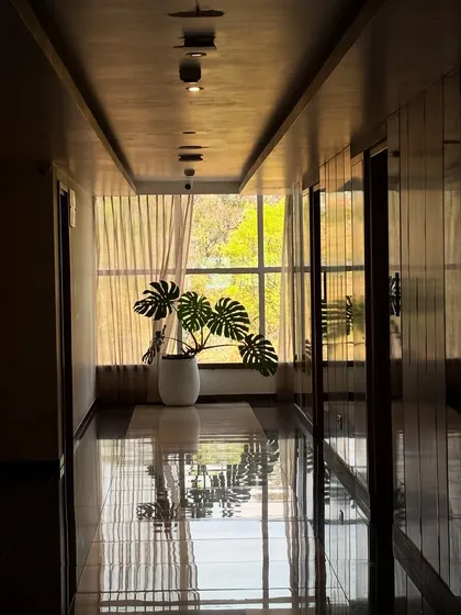 A single Monstera plant placed at the end of this hotel hallway transforms it from a simple passage into a design moment. The natural light and reflections enhance its sculptural form.