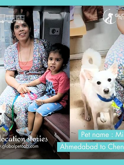 Global Pet Cab - Domestic Pet Relocation Train Travel: First-Class Coupe Journeys photo 24