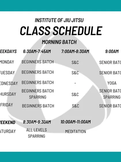 An overview of our class structure, including Beginners Batch, Strength & Conditioning, Senior Batch, Yoga, and all-levels Sparring. We aim to provide a holistic training experience.