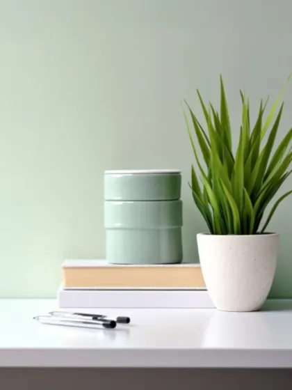 A small, vibrant green desk plant in a white ceramic pot. This type of compact plant is ideal for adding a touch of nature to individual workstations or minimalist shelves.