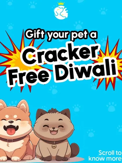 Gift your pet a cracker-free Diwali. Our resort is a peaceful haven away from the noise and stress, where they can relax and feel safe during the festivities.
