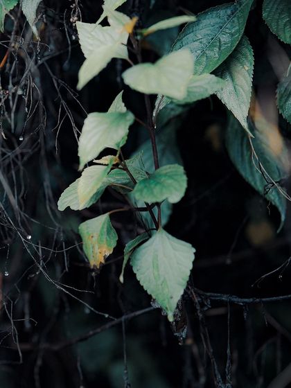 Garima Bhaskar - Photography Services Travel Diaries: Global & Local photo 117