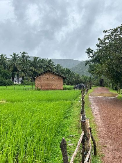 A beautiful rural landscape with a small house, a dirt road, and vibrant green fields, capturing the simple beauty of village life.