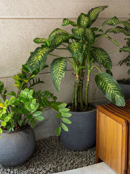 An exploration of intentional design. This detail shot shows the interplay of textures: lush green plants, smooth grey planters, a bed of gravel, and a slatted wooden bench, all contributing to a cohesive narrative.