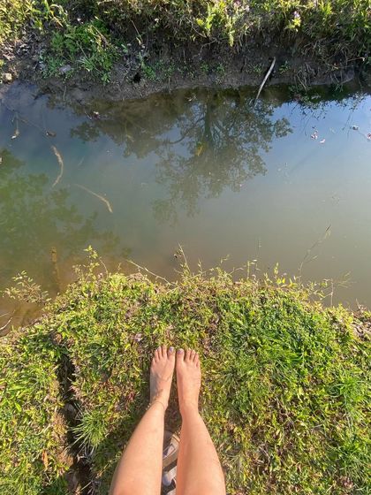 When I say Malnad is heaven, this is what I mean. These are scenes from my family's home, a place of incredible natural beauty that constantly inspires my work and my connection to the earth.