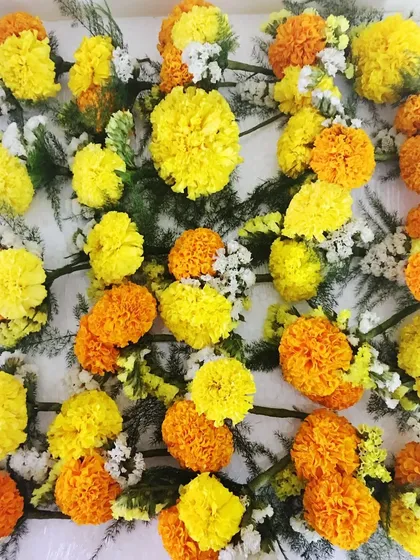 A beautiful spread of marigold flowers. This is from a photo dump capturing memories and moments of inspiration from over the years.