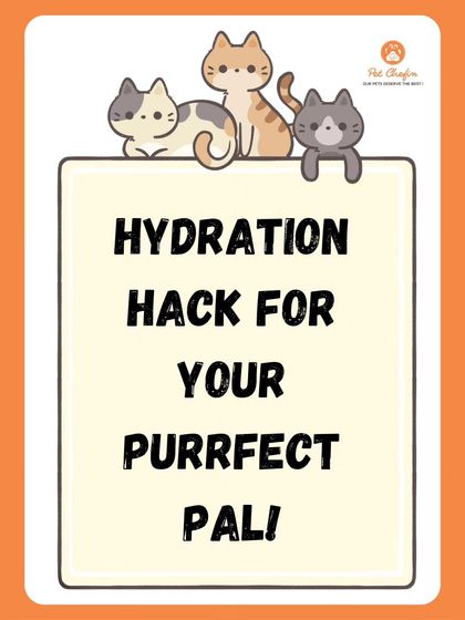 Many cats don't drink enough water. A great hydration hack is to add some of our chicken broth to their food or our air-dried treats for a yummy, hydrating boost.