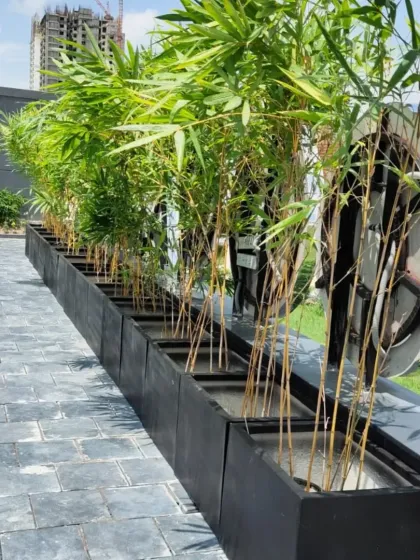 This shot shows the bamboo fencing setup from a different angle, highlighting a modern metallic sculpture that adds an artistic touch to the landscape design.
