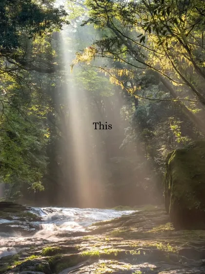 The way sunlight filters through the forest. This is your sign to get out and connect with nature.