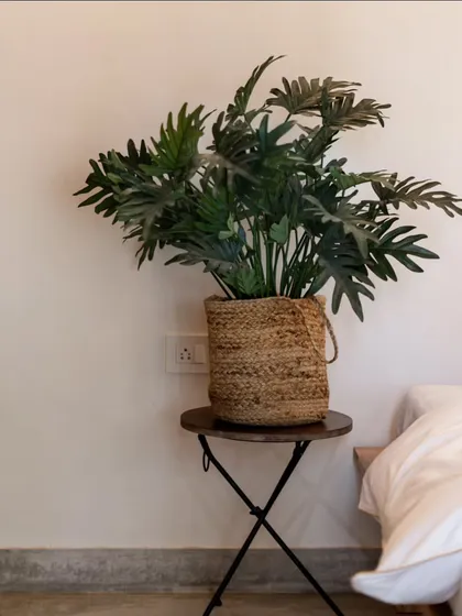 A simple and elegant decor detail, featuring a lush green plant in a woven jute planter. This small touch adds life and texture to a calm, minimalist corner of a room.