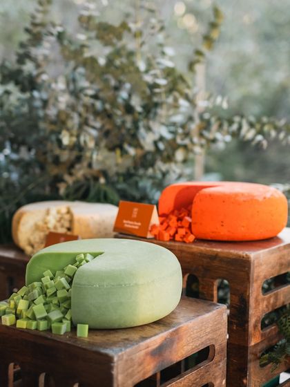 The vibrant colors of our artisanal cheese selection stand out against the natural, wooded background, creating a visually stunning display.
