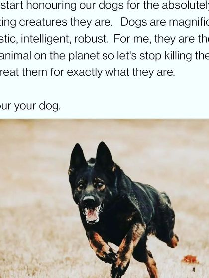Dogs are the best animals on the planet. Let's start honouring them by understanding their true nature and needs.