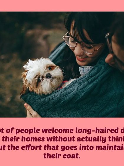 Tail It Easy - Mobile Pet Grooming Pet Parent Pro-Tips photo 10