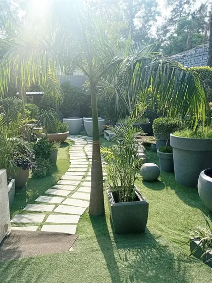 A garden path at a farm in Ghitorni, lined with a variety of potted plants. The design includes a foxtail palm, bamboo, and other foliage plants in different sized pots to create a natural, curated feel.