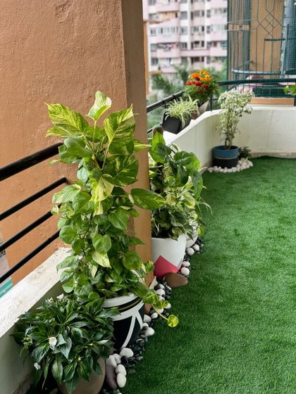 A beautiful balcony setup featuring a mix of flowering marigolds and easy-care plants. The artificial turf adds a touch of green that's soft underfoot, creating a perfect spot to enjoy a morning cup of tea.