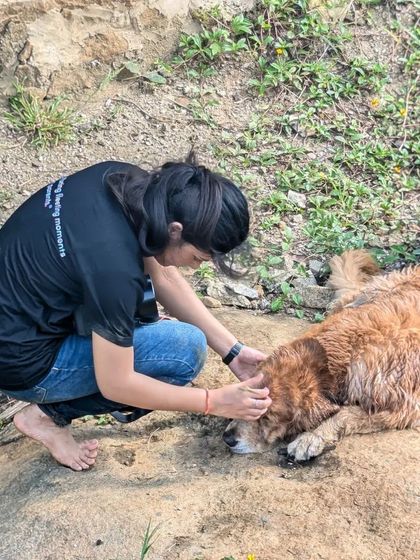 Sniff Stories - Pet Videography Building Trust, One Paw at a Time photo 6
