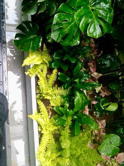 Whispering Gardens - Landscape & Garden Design Intimate Spaces: Balcony & Courtyard Havens photo 39