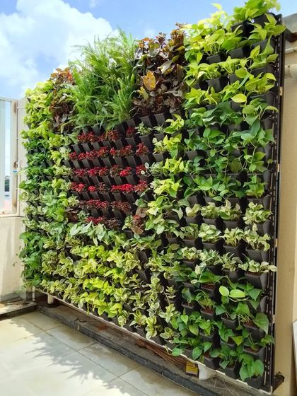 Living Vertical Gardens: The Real Deal photo 7