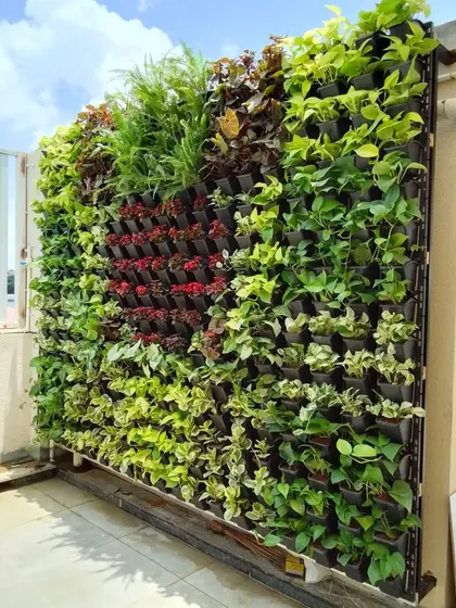 A beautiful example of a natural vertical garden on a balcony. I can create custom designs with different plants to achieve a unique look, and I'll give you a great quote for it.