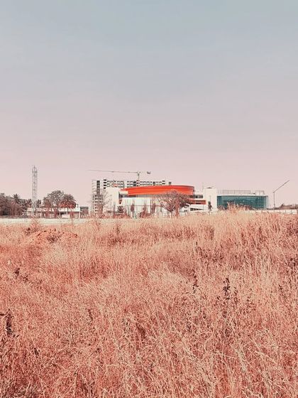 The MARC Auditorium seen from a distance, rising like a beacon from a field of dry grass. This view highlights its role as a landmark within the larger campus landscape.
