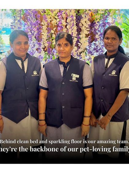 PawsnCollars - Veterinary Care Our Story & Our Team photo 7