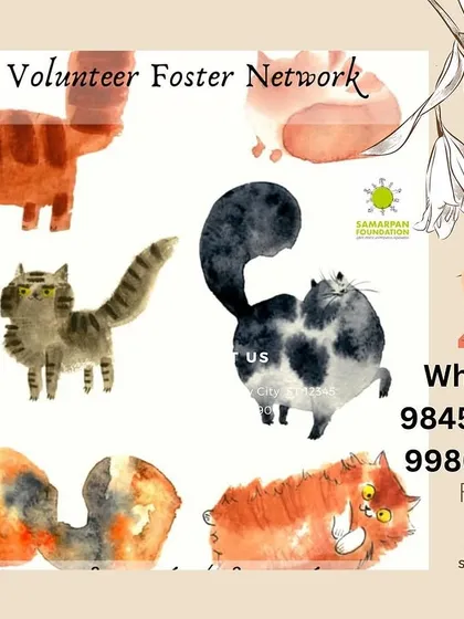We are a network of volunteers, fosters, and professionals from all walks of life, united by a single cause. This is an open invitation to join our city-wide foster network. If you have the heart to help, we will find a way for you to contribute.