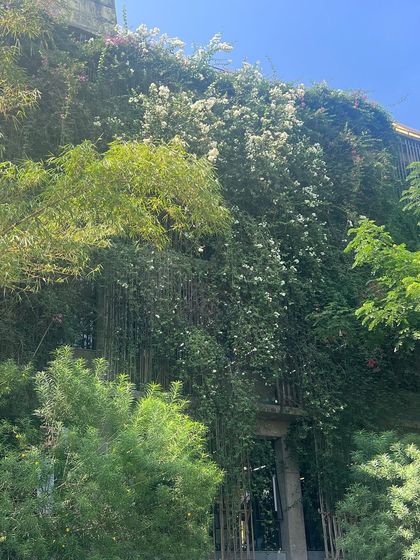 Institutional Sanctuaries: Avasara Academy photo 3