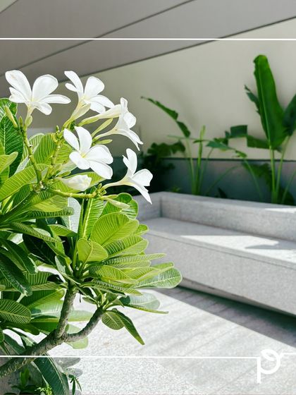 Balcony & Terrace Transformations photo 14