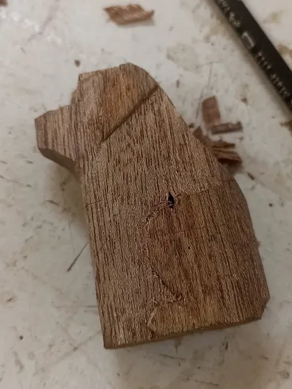 The beginning of a whittling project. This small piece of Salwood is slowly being transformed into a dog, one small cut at a time.