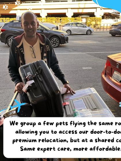 Anvis - Pet Relocation Specialized Care & Travel Options photo 5