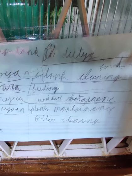 The Earth School - Montessori Primary & Elementary Program Hands-On Science & Nature Study photo 6