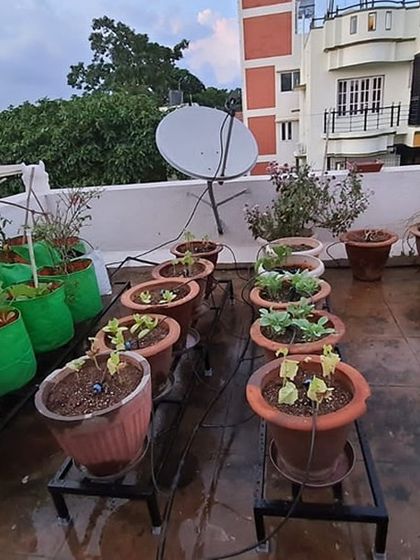 The Garden Hub - Landscape Design & Build Planters & Stands photo 8