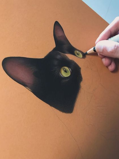 A work-in-progress view of a black cat's portrait. Building up the layers of black and grey is a patient process, focusing on the subtle shifts in tone to create a realistic, three-dimensional form.