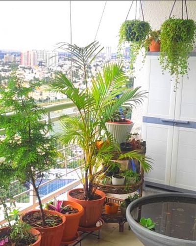 Balcony & Terrace Gardens