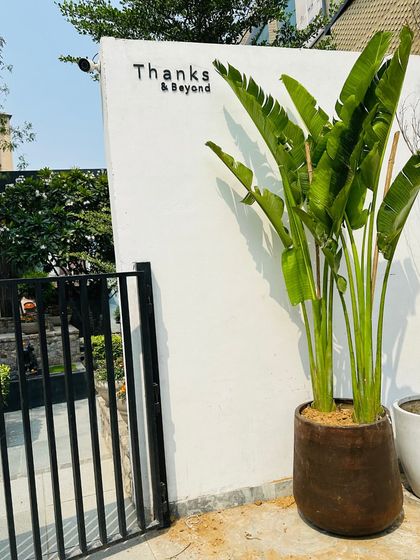 Restaurant & Cafe Transformations photo 9