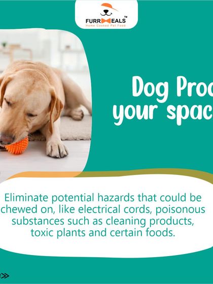 Preparing your home for a new dog is essential for a smooth transition. This guide walks you through the key steps, including dog-proofing your space, creating a cozy den, stocking up on supplies, and setting clear family rules.
