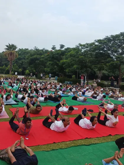 The entire group practicing Dhanurasana (Bow Pose) in unison during our large outdoor event.