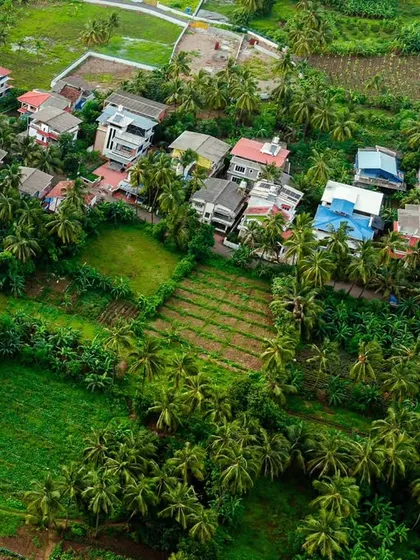 An aerial photograph showcasing a quiet residential area nestled among the lush coconut groves of Vasai. This shot is a great example of how I can provide a fresh perspective for real estate or community development projects, highlighting the harmony between homes and nature.