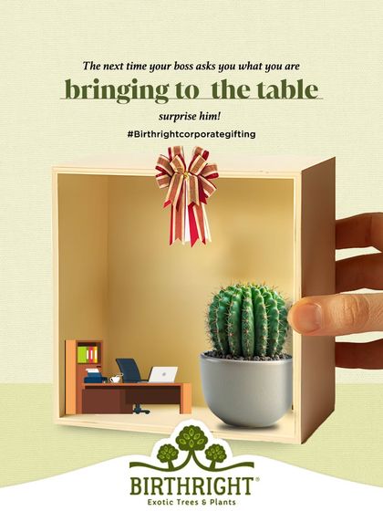 The next time your boss asks what you are bringing to the table, surprise them with something that adds value to the entire office. A resilient cactus is a quirky and memorable gift that symbolizes strength and endurance.