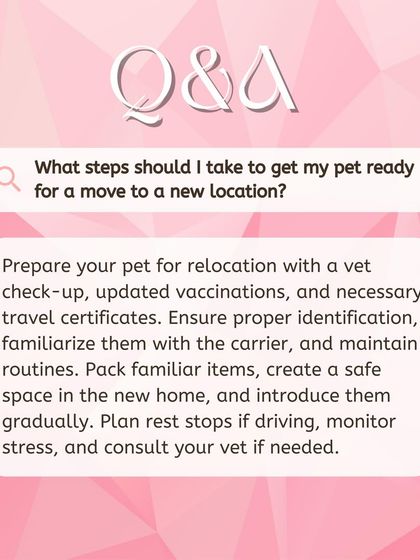 Global Pet Cab - Domestic Pet Relocation Your Pet Travel Questions, Answered photo 30