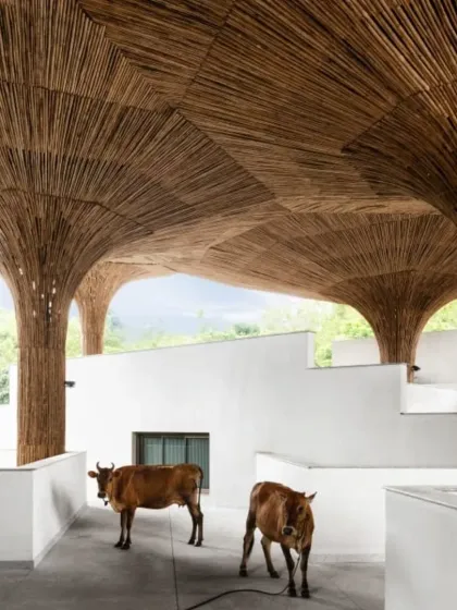 Even local wildlife finds a home in our porous designs. At the TAPMI Centre, the ground floor remains open and accessible, blurring the lines between the building, the landscape, and the life that inhabits it.