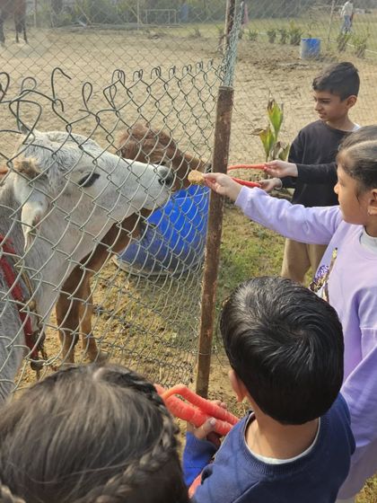 Unforgettable Kids' Parties photo 25