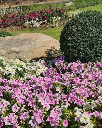 Commercial Landscaping