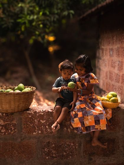 Brand Storytelling: The Konkan Mango Harvest photo 17