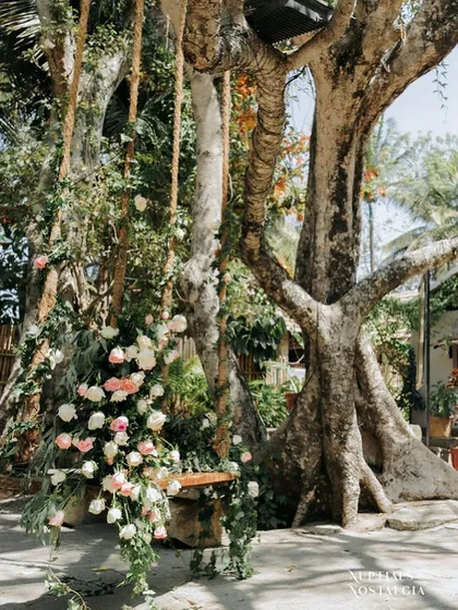 The swing, decorated with a cascade of pink and white roses, set against the backdrop of our ancient banyan tree.