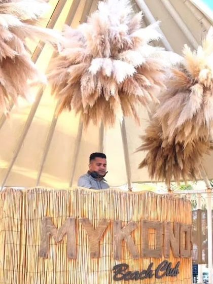 Destination Gigs: I Go Where the Party Goes photo 8