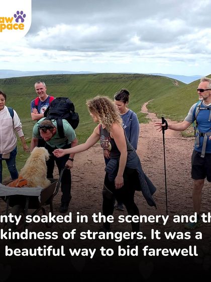 PawSpace - Pet Boarding & Sitting More Than Just a Service: Our Beliefs photo 7