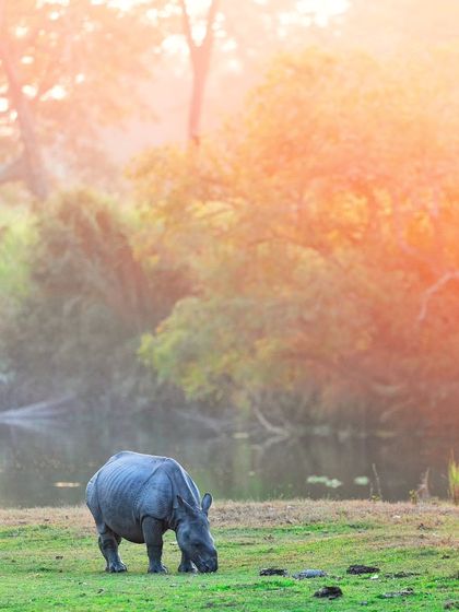 Giants & Other Jewels photo 27