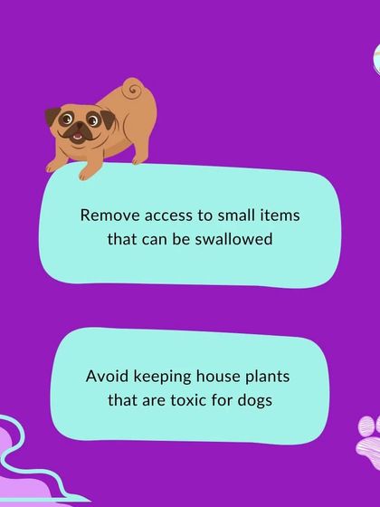 Furry Story - Pet Sitter & Home Boarder Training Starting Strong: Puppy Care & Socialization photo 9