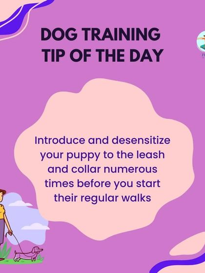 Furry Story - Pet Sitter & Home Boarder Training The Sitter's Toolkit: Daily Care & Handling photo 10